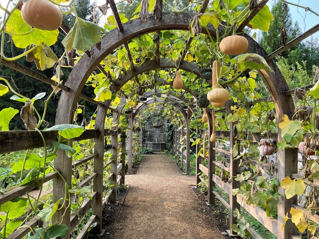 Gardens Masters: The Cook and the Gardener
